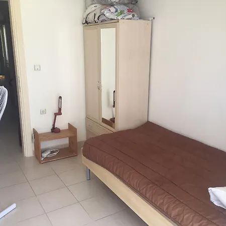 Sunflower A1 Didim